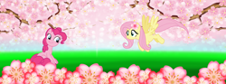 Size: 1374x511 | Tagged: safe, artist:lizzmcclin, imported from derpibooru, fluttershy, pinkie pie, earth pony, pegasus, cherry blossoms, flower, flower blossom