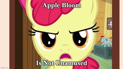 Size: 888x499 | Tagged: safe, edit, edited screencap, imported from derpibooru, screencap, apple bloom, earth pony, pony, just for sidekicks, amused, caption, clubhouse, crusaders clubhouse, female, filly, foal, image macro, imgflip, meme, meme face, rainbow dash balloon, solo, text