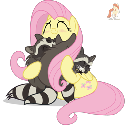 Size: 2521x2521 | Tagged: safe, artist:r4hucksake, artist:tominokurra, imported from derpibooru, fluttershy, pegasus, pony, raccoon, base used, blushing, cute, eyes closed, female, hug, mare, shyabetes, simple background, solo, transparent background