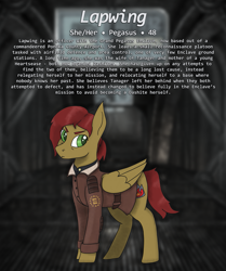Size: 1185x1420 | Tagged: safe, artist:owslafa, imported from derpibooru, oc, oc:lapwing, pegasus, fallout equestria, enclave, grand pegasus enclave, reference sheet
