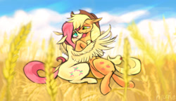 Size: 1982x1145 | Tagged: safe, artist:chortzykit, imported from derpibooru, applejack, fluttershy, earth pony, pegasus, pony, appleshy, duo, female, field, holding each other, lesbian, looking at each other, looking at someone, shipping