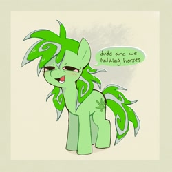 Size: 2256x2253 | Tagged: safe, artist:syrupyyy, imported from derpibooru, oc, oc only, oc:stoney poney, earth pony, pony, beige background, blushing, dialogue, drugs, earth pony oc, female, green coat, high, high res, lidded eyes, long mane, long tail, mare, messy mane, messy tail, open mouth, open smile, passepartout, pink sclera, simple background, smiling, solo, speech bubble, standing, stoned, tail, talking, text, two toned mane, two toned tail