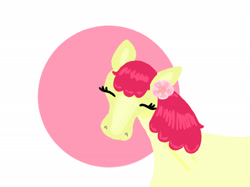 Size: 2732x2048 | Tagged: safe, artist:creativa-artly01, imported from derpibooru, apple bloom, earth pony, pony, blaze (coat marking), coat markings, colored pinnae, eyes closed, facial markings, female, filly, flower, flower in hair, foal, high res, hoers, no mouth, passepartout, shiny mane, simple background, solo, white background