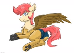 Size: 1280x916 | Tagged: safe, artist:pzkratzer, imported from derpibooru, oc, hybrid, butt, clothes, male, panties, paws, plot, ponygriff, solo, speedo, spread wings, swimsuit, underwear, wings