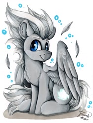 Size: 902x1200 | Tagged: safe, artist:julunis14, imported from derpibooru, oc, oc only, oc:cloud swarmer, pegasus, pony, looking at you, male, pegasus oc, sitting, smiling, solo, wings