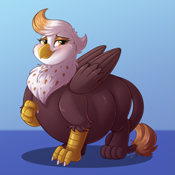 Size: 1919x1919 | Tagged: safe, artist:sugaryviolet, imported from derpibooru, oc, oc only, oc:macchiato (griffon), griffon, belly, big belly, blushing, cute, fat, female, griffon oc, looking at you, simple background, smiling, smiling at you, solo, standing