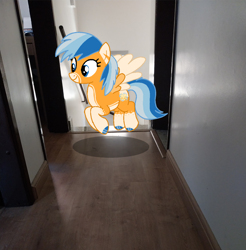 Size: 844x859 | Tagged: safe, artist:ncolque, imported from derpibooru, oc, oc:sunlight mist, pegasus, pony, flying, hallway, house, irl, photo