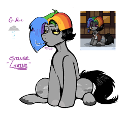 Size: 700x637 | Tagged: safe, artist:dsstoner, imported from derpibooru, oc, oc only, oc:silver lining, earth pony, pony, ashes town, cigarette, cutie mark, male, multicolored hair, multicolored mane, rainbow hair, sitting, smoking, stallion
