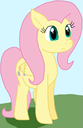 Size: 689x1064 | Tagged: safe, artist:cmara, imported from derpibooru, fluttershy, pegasus, pony, female, solo