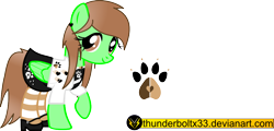 Size: 1108x530 | Tagged: safe, artist:thunderboltx33, oc, oc only, pony, clothes, female, mare