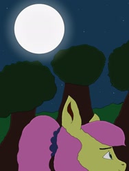 Size: 1536x2048 | Tagged: safe, artist:enterusxrname, imported from derpibooru, fluttershy, pegasus, pony, alternate hairstyle, background, female, hill, mare, moon, night, outdoors, ponytail, scrunchie, signature, solo, stars, tree