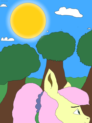 Size: 2304x3072 | Tagged: safe, alternate version, artist:enterusxrname, imported from derpibooru, fluttershy, bird, pegasus, pony, alternate hairstyle, cloud, female, hill, mare, ponytail, scrunchie, signature, sky, solo, sun, tree