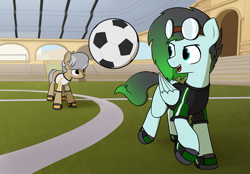 Size: 3300x2300 | Tagged: safe, artist:alexi148, imported from derpibooru, oc, oc only, oc:gryph xander, oc:hind, earth pony, pegasus, pony, clothes, football, jersey, male, soccer field, sports, stadium, stallion