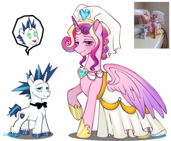 Size: 3720x3068 | Tagged: safe, artist:snowflakefrostyt, imported from derpibooru, princess cadance, shining armor, pony, clothes, dress, meme, the bride and the ugly ass groom, wedding dress