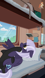 Size: 3143x5365 | Tagged: safe, artist:r4hucksake, imported from derpibooru, oc, oc only, oc:indigo aria, pegasus, pony, bag, bed, book, cloud, female, mare, orca plushie, pillow, plushie, sky, solo, train, window