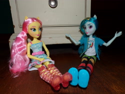 Size: 4608x3456 | Tagged: safe, imported from derpibooru, fluttershy, rainbow dash, equestria girls, doll, duo, photo, toy