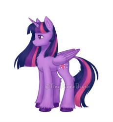 Size: 1182x1280 | Tagged: safe, artist:tinypurplebrush, imported from derpibooru, twilight sparkle, alicorn, pony, chest fluff, ear fluff, female, leonine tail, mare, simple background, solo, tail, twilight sparkle (alicorn), unshorn fetlocks, watermark, white background