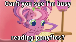 Size: 1280x719 | Tagged: safe, imported from twibooru, earth pony, #cheerilee, g3.5, image, meme, png