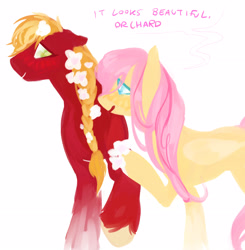 Size: 3126x3192 | Tagged: safe, artist:frostharbourer, imported from derpibooru, big macintosh, fluttershy, earth pony, pegasus, pony, blushing, crossdressing, dialogue, duo, female, floppy ears, flower, flower in hair, fluttermac, height difference, high res, lesbian, male, mare, orchard blossom, shipping, simple background, straight, trans big macintosh, trans female, transgender, white background