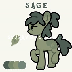 Size: 2048x2048 | Tagged: safe, artist:starrymysteryy, imported from derpibooru, oc, oc only, oc:sage, earth pony, pony, adoptable, female, mare, reference sheet, sage, simple background, watermark