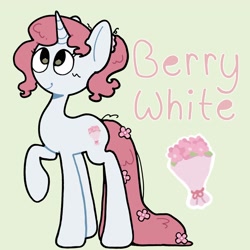 Size: 2048x2048 | Tagged: safe, artist:starrymysteryy, imported from derpibooru, oc, oc only, oc:berry white, pony, unicorn, adoptable, female, horn, mare, reference sheet, simple background