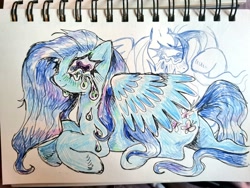 Size: 1024x768 | Tagged: safe, artist:drawswithpaws, imported from derpibooru, pegasus, pony, blue coat, female, mare, smiling, solo, traditional art