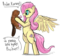 Size: 1593x1494 | Tagged: safe, artist:uteuk, imported from derpibooru, fluttershy, beaver, pegasus, bipedal, female, kurwa, mare, meme, polish, standing on two hooves, translation request, vulgar