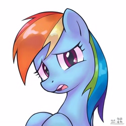 Size: 4000x4000 | Tagged: safe, artist:qimagaoshou, artist:低能废物, imported from derpibooru, rainbow dash, pegasus, pony, bust, female, looking at you, mare, open mouth, portrait, simple background, solo, text, white background, worried