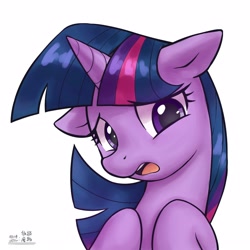 Size: 4000x4000 | Tagged: safe, artist:低能废物, imported from derpibooru, twilight sparkle, pony, unicorn, bust, female, horn, looking at you, mare, open mouth, portrait, simple background, solo, text, white background, worried