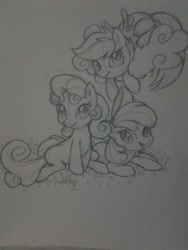 Size: 1536x2048 | Tagged: safe, artist:jadedjynx, imported from derpibooru, apple bloom, scootaloo, sweetie belle, earth pony, pegasus, pony, unicorn, cutie mark crusaders, female, filly, foal, grass, horn, sketch, traditional art