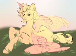 Size: 2560x1902 | Tagged: safe, imported from derpibooru, pony, commission, field, lying down, your character here