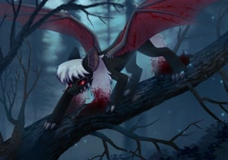 Size: 2894x2039 | Tagged: safe, artist:glumarkoj, imported from derpibooru, oc, oc only, original species, pony, blood, claws, dragon wings, fangs, forest, in a tree, nature, red eyes, solo, tree, wings