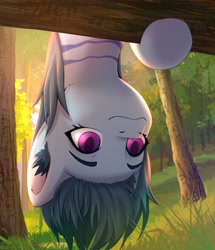 Size: 2067x2401 | Tagged: safe, artist:glumarkoj, imported from derpibooru, oc, oc only, pony, ear fluff, female, forest, hanging, hanging upside down, mare, nature, solo, tree, upside down