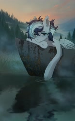 Size: 2436x3936 | Tagged: safe, artist:glumarkoj, imported from derpibooru, oc, oc only, pegasus, pony, boat, ear piercing, earring, female, forest, jewelry, lake, mare, mist, nature, piercing, reflection, solo, torn ear, tree, water