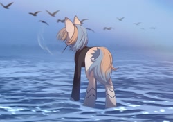 Size: 2480x1748 | Tagged: safe, artist:glumarkoj, imported from derpibooru, oc, oc only, bird, pony, cigarette, cigarette holder, clothes, coat markings, ear tufts, female, mare, ocean, rear view, smoking, solo, water