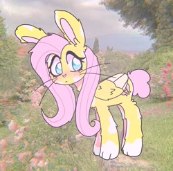 Size: 1080x1066 | Tagged: safe, artist:fluhhtershy, imported from derpibooru, fluttershy, hybrid, original species, pony, female, mare, rabbit pony, race swap, solo, wings