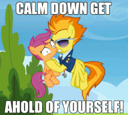 Size: 513x463 | Tagged: safe, edit, edited screencap, imported from derpibooru, screencap, scootaloo, spitfire, pegasus, pony, abuse, airplane!, animated, caption, clothes, cropped, duo, female, filly, flying, foal, gif, holding a pony, image macro, jewelry, loop, mare, movie reference, necklace, pinpoint eyes, scootabuse, shaking, spitfire's tie, sunglasses, text, uniform, whistle, whistle necklace, wonderbolts dress uniform