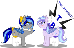 Size: 1154x757 | Tagged: safe, artist:thunderboltx33, oc, oc only, pony, clothes, female, glasses, looking at each other, mare, socks