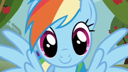 Size: 3840x2160 | Tagged: safe, imported from derpibooru, screencap, rainbow dash, pegasus, pony, season 1, the ticket master, apple, apple tree, cute, dashabetes, female, food, looking at you, mare, outdoors, smiling, smiling at you, solo, spread wings, tree, wings
