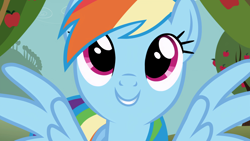 Size: 3840x2160 | Tagged: safe, imported from derpibooru, screencap, rainbow dash, pegasus, pony, season 1, the ticket master, apple, apple tree, cute, dashabetes, female, food, looking up, mare, outdoors, smiling, solo, spread wings, tree, wings