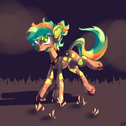 Size: 1000x1000 | Tagged: safe, artist:kingdom, imported from derpibooru, oc, oc only, earth pony, pony, earth pony oc, female, full body, grass, mare, solo