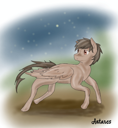 Size: 3072x3322 | Tagged: safe, artist:antares, imported from derpibooru, oc, oc only, oc:antares vaward, pegasus, pony, head up, night, sky, solo, stars