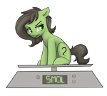 Size: 2870x2575 | Tagged: safe, artist:dumbwoofer, imported from derpibooru, oc, oc only, oc:filly anon, earth pony, pony, angry, annoyed, ear fluff, female, filly, foal, meme, scale, scowl, simple background, sitting, smol, solo, transparent background
