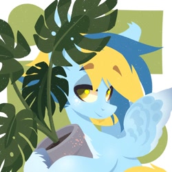 Size: 1500x1500 | Tagged: safe, artist:kingdom, imported from derpibooru, oc, oc only, pony, blue coat, blue mane, holding, plant, smiling, solo, yellow mane