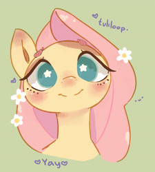 Size: 2899x3226 | Tagged: safe, artist:ponyix, imported from derpibooru, fluttershy, pegasus, pony, blushing, bust, cute, female, flower, flower in hair, green background, looking at you, mare, nose blush, shyabetes, simple background, smiling, smiling at you, solo, starry eyes, wingding eyes, yay