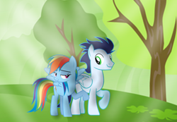 Size: 2444x1689 | Tagged: safe, imported from derpibooru, rainbow dash, soarin', pegasus, pony, duo, duo male and female, female, forest, male, mare, nature, shipping, soarindash, stallion, straight, tree