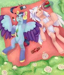 Size: 1200x1400 | Tagged: safe, artist:dagych, imported from derpibooru, oc, oc only, pegasus, pony, 2021, duo, grass, pegasus oc, picnic blanket, wings