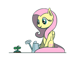 Size: 1800x1350 | Tagged: safe, artist:flutterluv, imported from derpibooru, fluttershy, pegasus, pony, fluttershy day, sapling, simple background, sitting, smiling, solo, transparent background, watering can