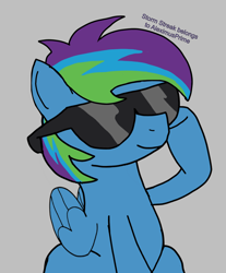 Size: 3834x4620 | Tagged: safe, imported from derpibooru, oc, oc:storm streak, pegasus, pony, flurry heart's story, 20% cooler, fanfic art, female, filly, foal, gray background, male, offspring, parent:oc:thunderhead, parent:rainbow dash, parents:canon x oc, rainbow dash's sunglasses, simple background, solo, solo male, sunglasses