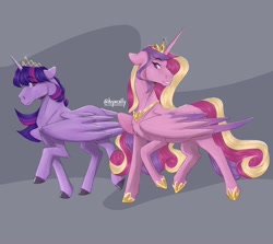 Size: 2048x1828 | Tagged: safe, artist:hiyacolly, imported from derpibooru, princess cadance, twilight sparkle, alicorn, pony, chest fluff, duo, female, hoers, hoof shoes, jewelry, mare, peytral, regalia, twilight sparkle (alicorn)